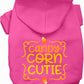 Candy Corn Cutie Pet Hoodie