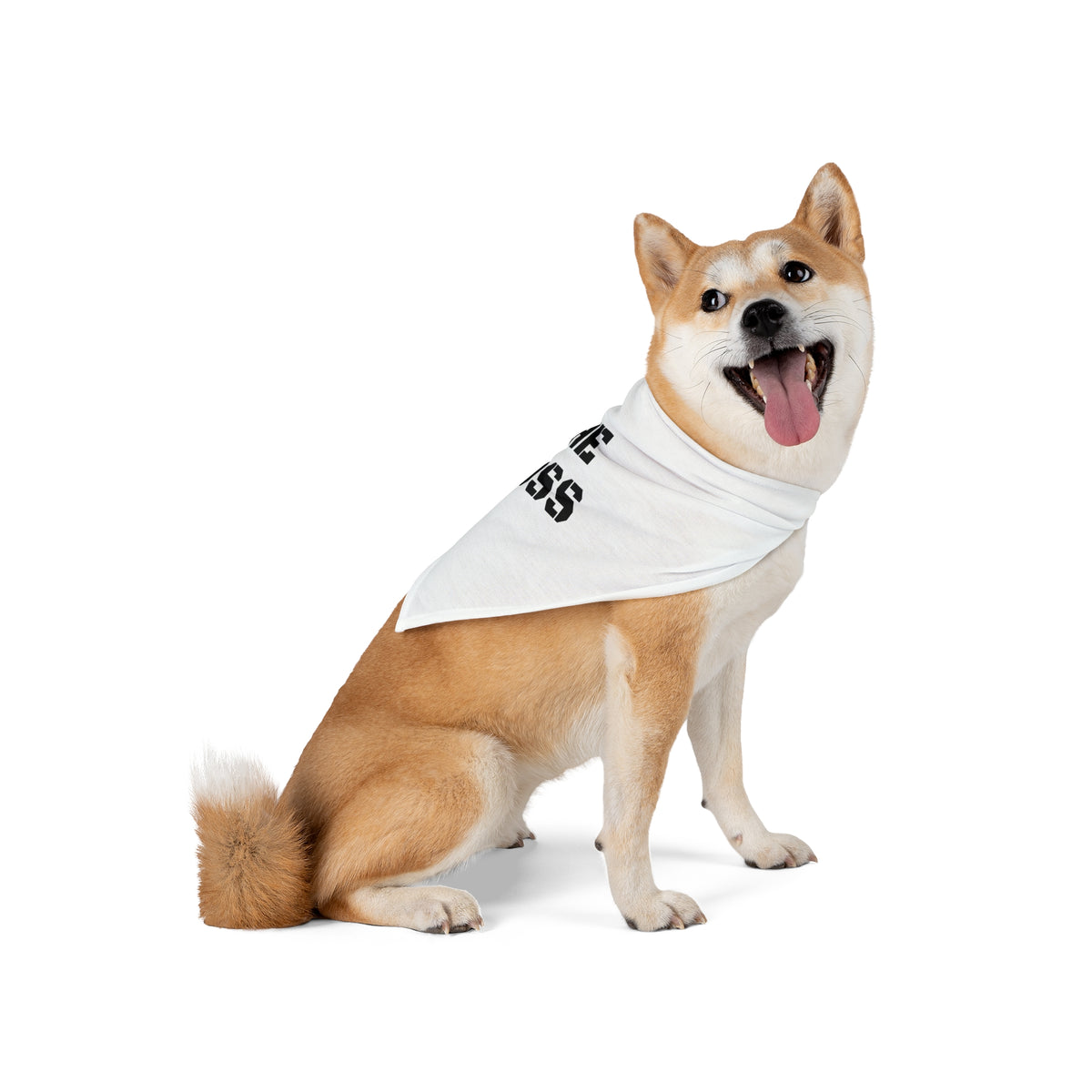 Pet Bandana — "THE BOSS" Bold Stencil Dog & Cat Bandana, Funny Pet Accessory Gift