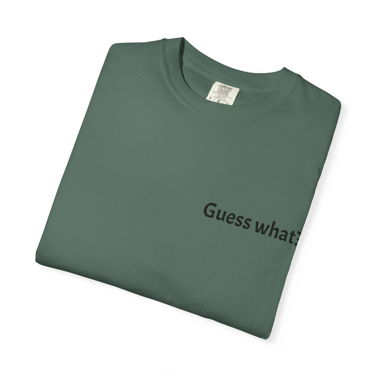 Guess What? Nobody Gives a Shit T-Shirt