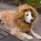 Lion's mane costume for dogs and cats