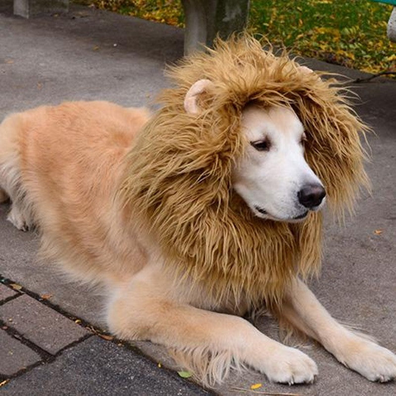 Lion's mane costume for dogs and cats