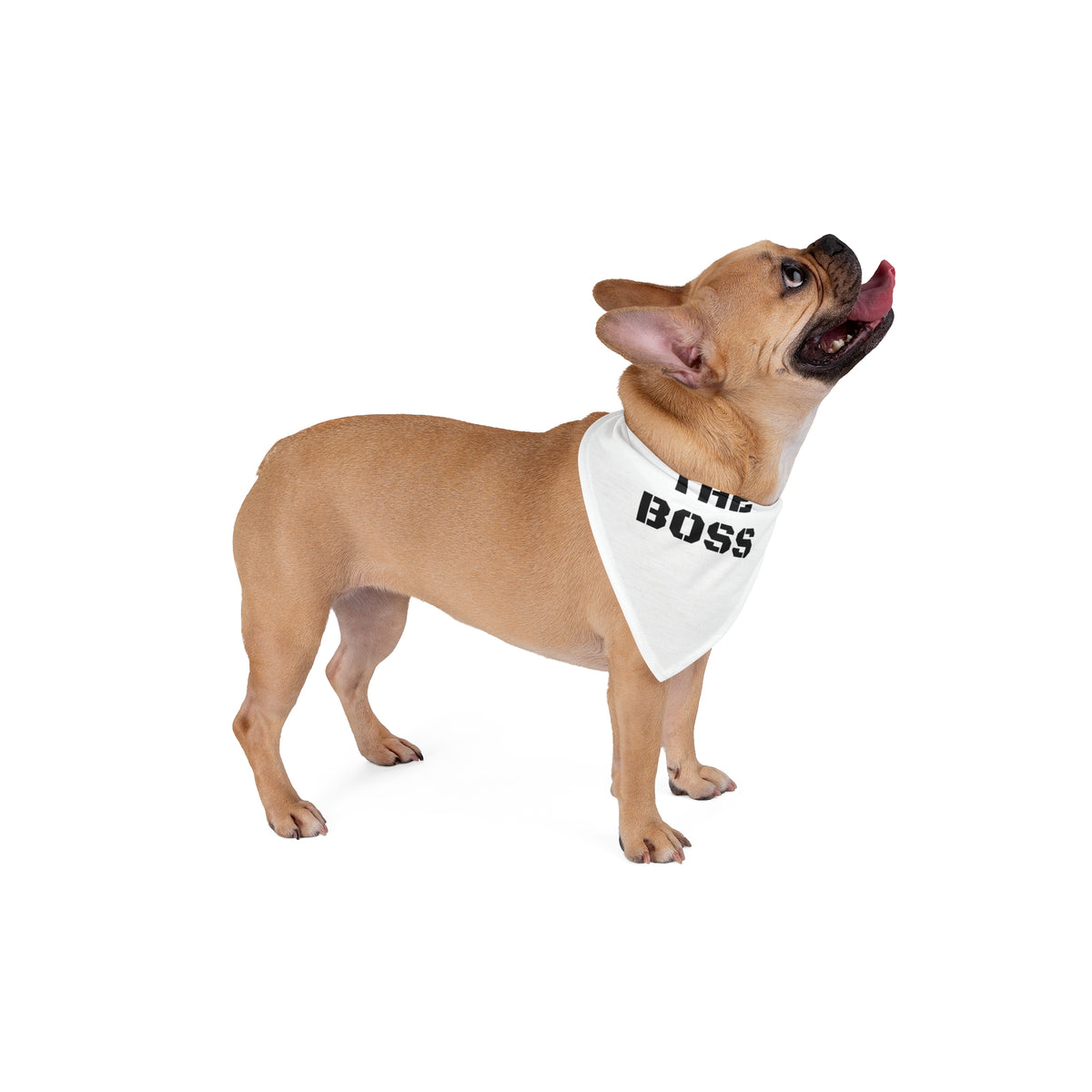 Pet Bandana — "THE BOSS" Bold Stencil Dog & Cat Bandana, Funny Pet Accessory Gift