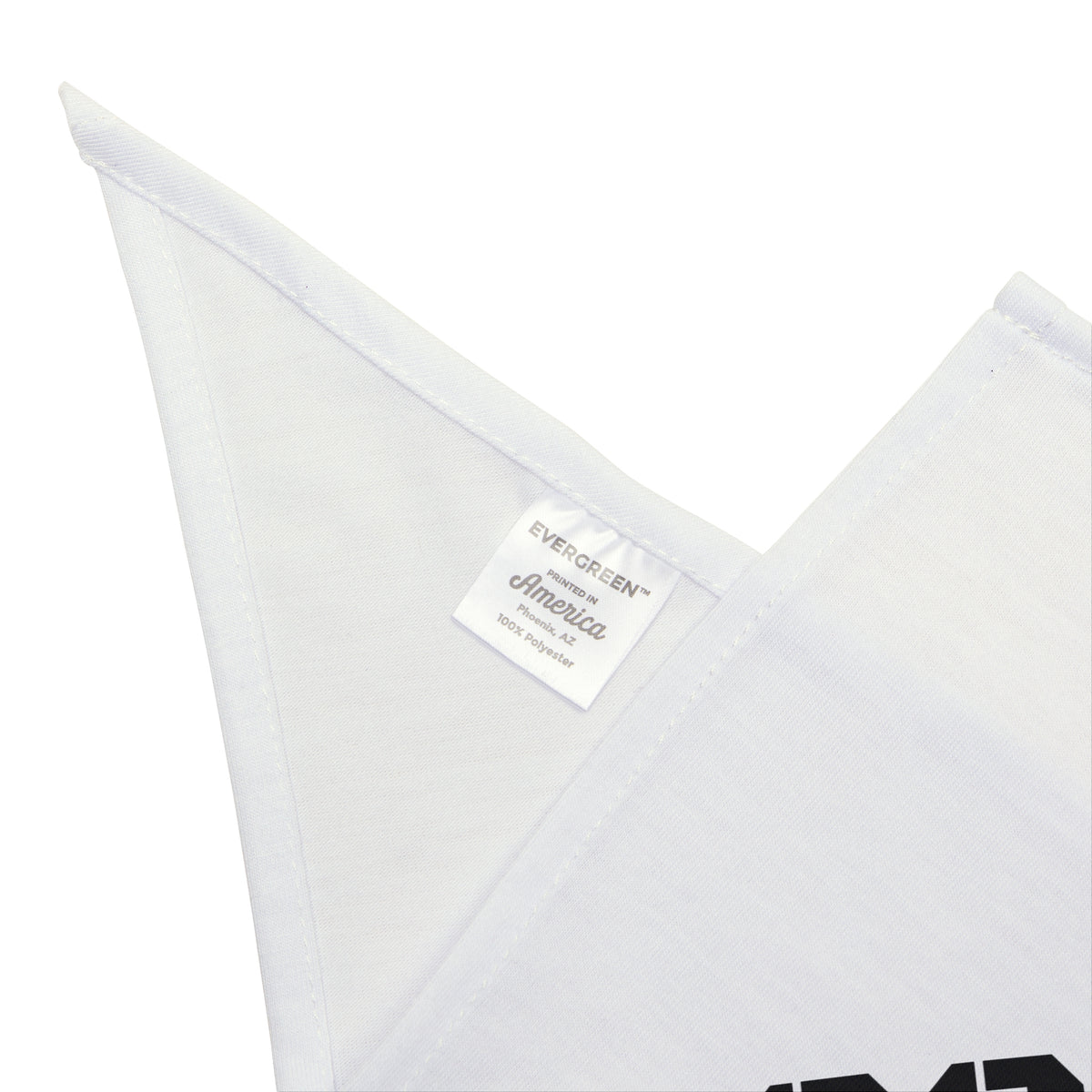 Pet Bandana — "THE BOSS" Bold Stencil Dog & Cat Bandana, Funny Pet Accessory Gift